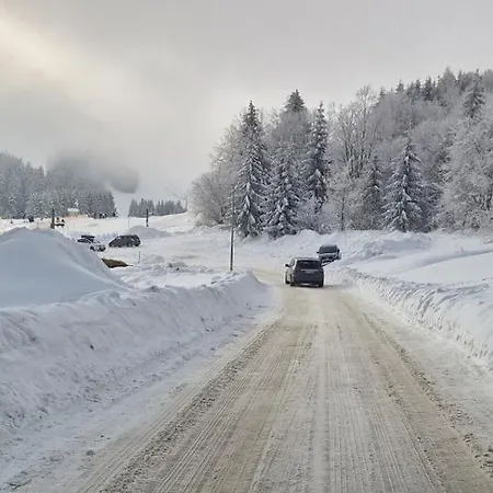 Kamzik Доновалы